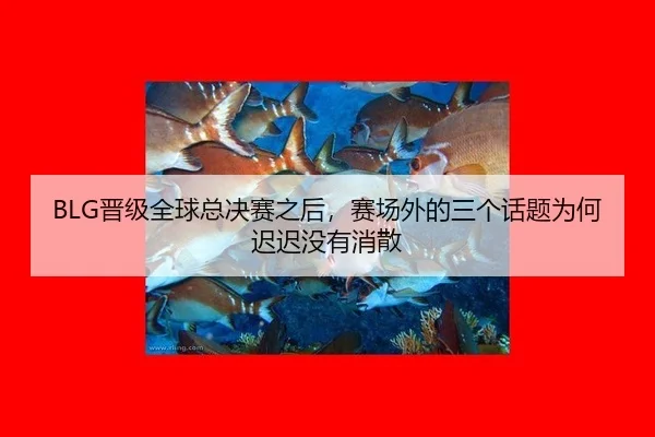 BLG晋级全球总决赛之后，赛场外的三个话题为何迟迟没有消散